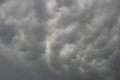 Eifelmammatus0507 028a.jpg
